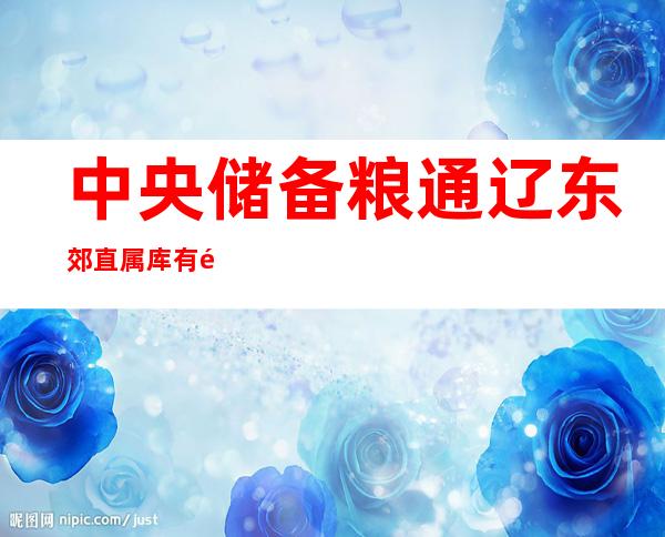 中央储备粮通辽东郊直属库有限公司欧里分公司