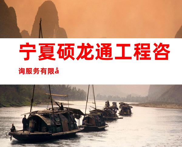 宁夏硕龙通工程咨询服务有限公司